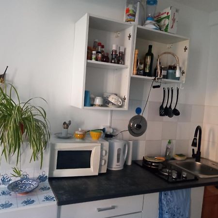 Tiny Studio Ariege Pyrenees Castelnau-Durban 外观 照片