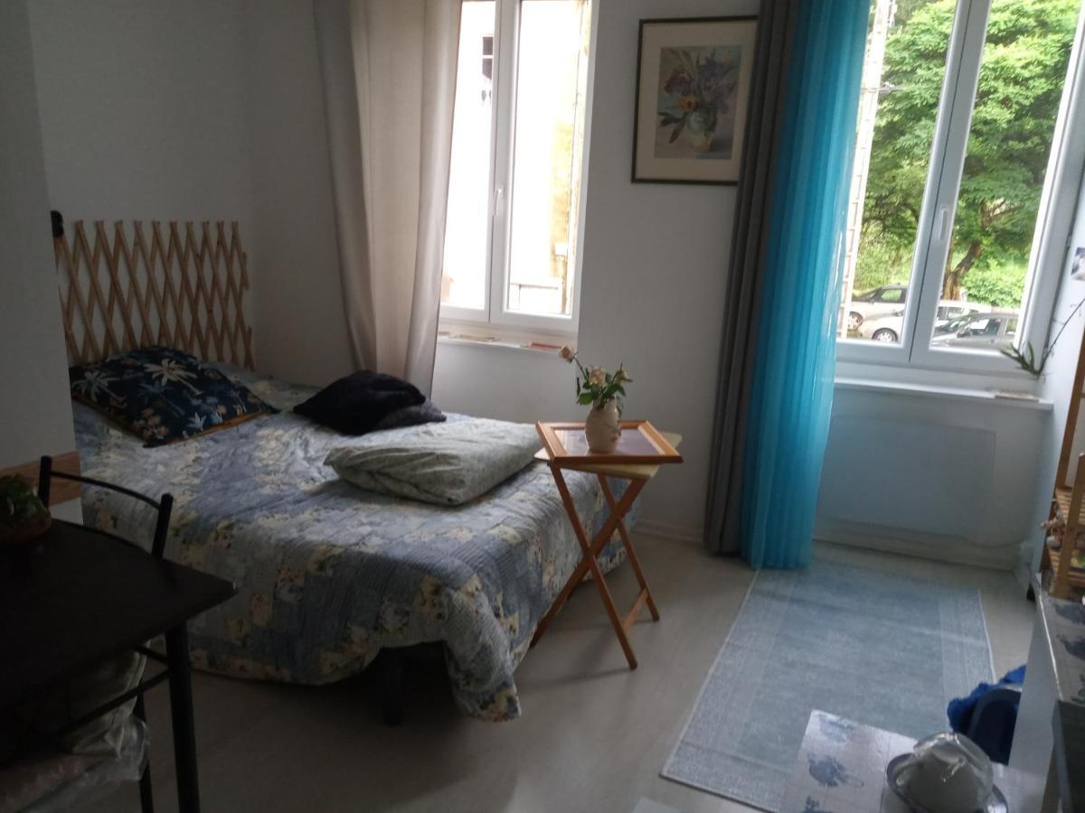 Tiny Studio Ariege Pyrenees Castelnau-Durban 外观 照片
