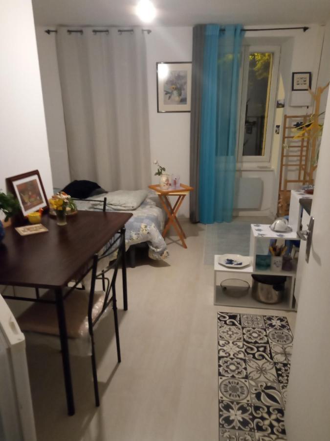 Tiny Studio Ariege Pyrenees Castelnau-Durban 外观 照片